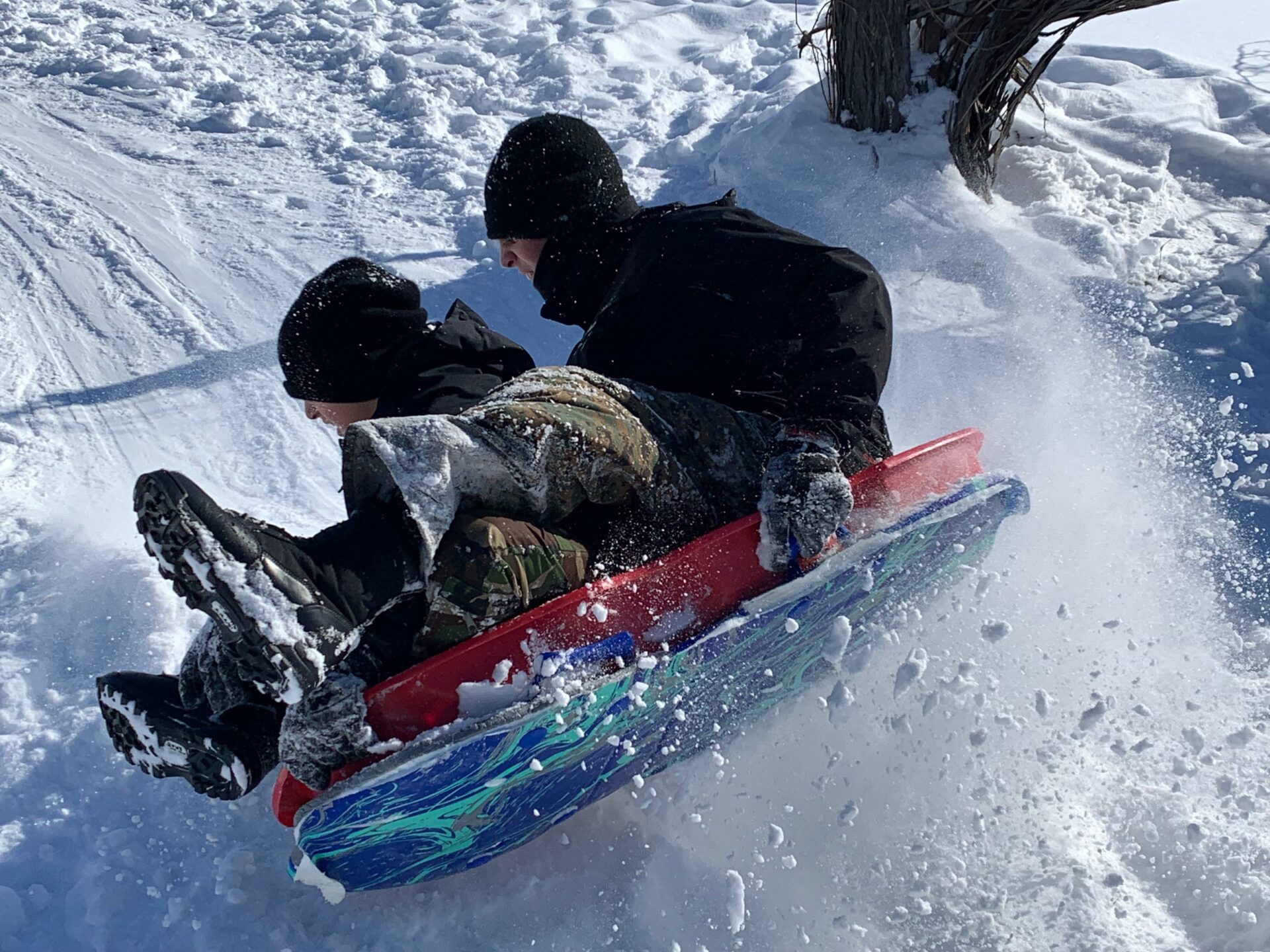 Students sledding